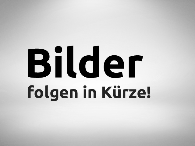 Volkswagen T7 Kastenwagen - 2.0 TDI SCR